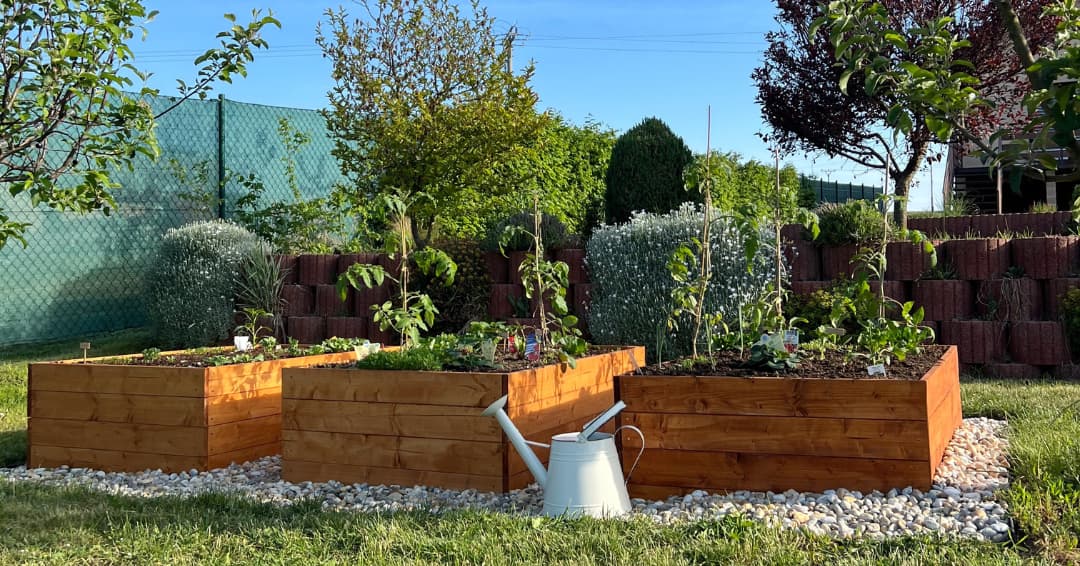 zalivka_jarnich_sazenic